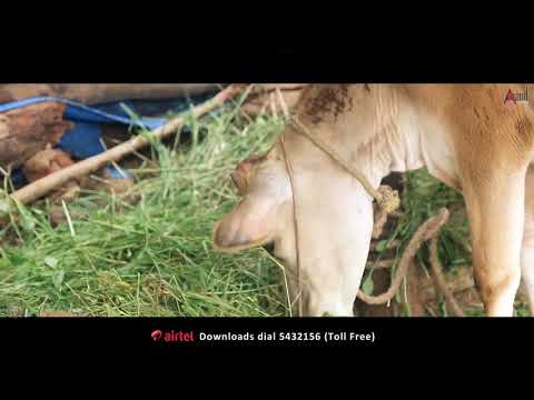 Prithvi A Dixit @dooradaoorindabaanannainiyafolk