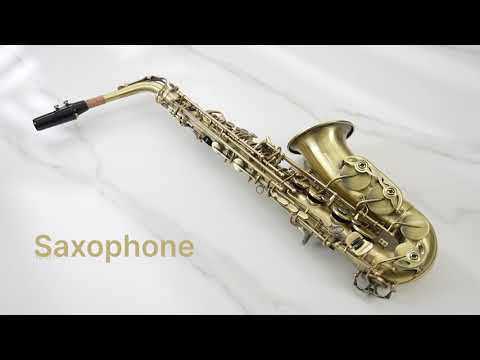 Professional Brass Bend EB E-Flat Alto Saxophone with High F# image 7