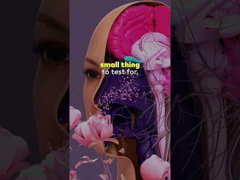 How Your Sense of Smell Can Reveal a Brain Injury