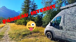 FORBIDDEN BUT NOT FOR US!!! #nomad #nomad #montage #dog