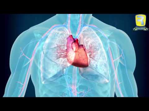 Health and DNA: The Struggle of Life