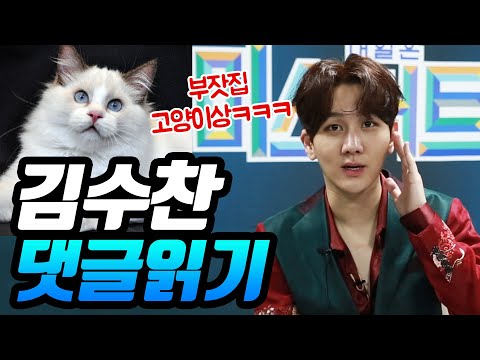 특별영상 미스터트롯 김수찬 유튜브 댓글 읽기(부잣집 고양이상ㅋㅋㅋㅋ)