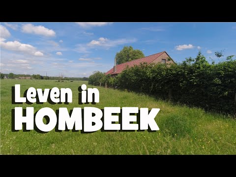 EXPLORING HOMBEEK | The most beautiful nature reserves