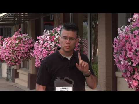 download lagu mp3 mp4 Cone Hanging Baskets Wholesale, download lagu Cone Hanging Baskets Wholesale gratis, unduh video klip Cone Hanging Baskets Wholesale