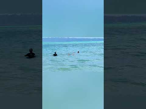 First look at Vijaynagar beach, Havelock island, Andaman