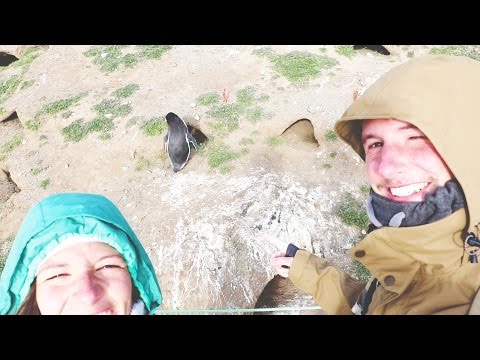 Isla Magdalena mit Pinguinen! • Chile • Weltreise Vlog #036