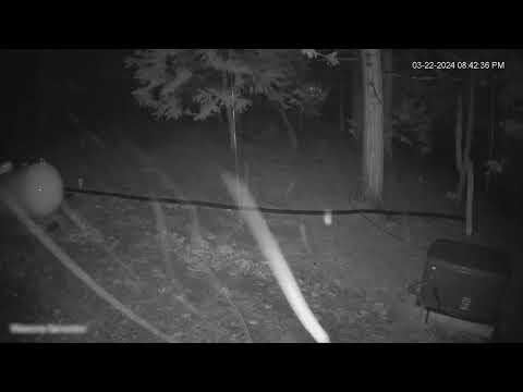 Webcam Arnold Ca