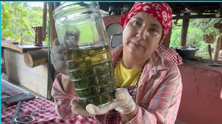 Chá tira PEDRA DOS RINS😳ANSIEDADE :ESTRESE :GRIPE.Dor de garganta ouvido 👂 e cabeça ☕️Digestivo🌱