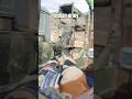Indian Army Shorts Ytshorts Army Vinay Up50