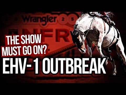EHV-1 EHM Outbreak | Cancellations, Concerns & Commentary.