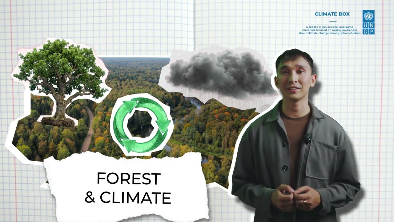 Forests and сlimate video lesson
