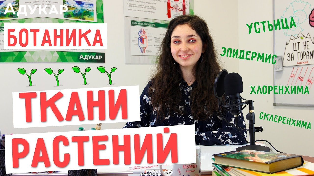 Ткани растений. Ботаника | Биология ЦТ, ЕГЭ