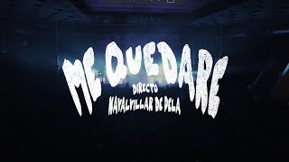 Sanguijuelas del Guadiana  "Me Quedaré - Estopa" (Directo Gira "Verbena en Vena")