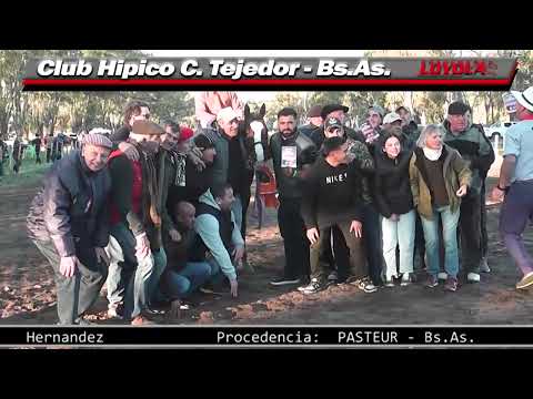 Hipicas en Carlos Tejedor - Bs.As. Parte 2@fotochartloyola23