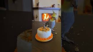 Heartwarming Animal Rescue Stories... #animals #lovestory #rescue #animalrescue #heartwarming