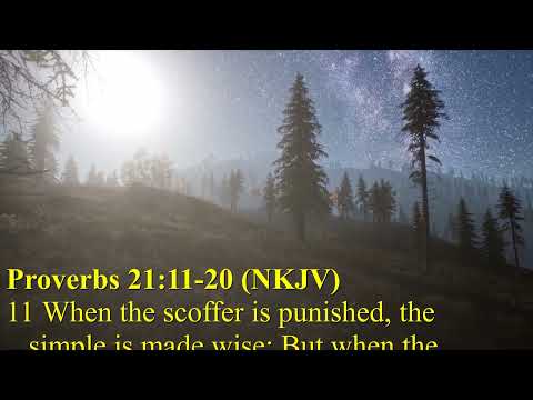 Proverbs 21 11 20