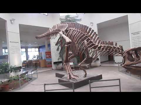 Museo Paleontológico Egidio Feruglio
