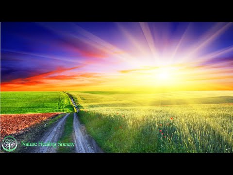 GOOD MORNING MUSIC ➤ 528Hz NEW FRESH Positive Energy Meditation Music To Wake Up With