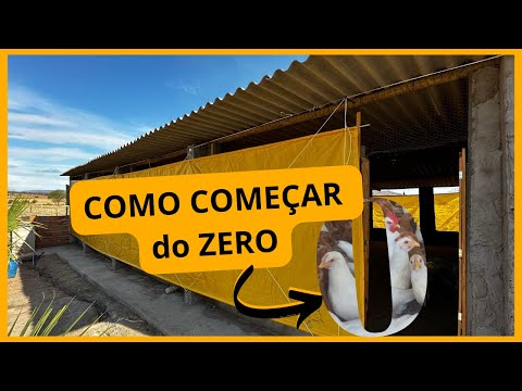 , title : 'COMO COMEÇAR do ZERO na AVICULTURA CAIPIRA: e ter um negócio lucrativo'