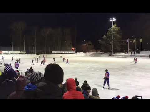 P15 jääpallon Suomen mestarit