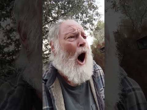 So, about the Legendary Pink Dots