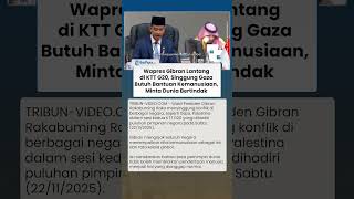Di Hadapan Pemimpin Dunia, Wapres Gibran Tegas di KTT G20, Singgung Gaza Butuh Bantuan Kemanusiaan