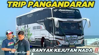 Download lagu BUS TELOLET BASURI NADA VIRAL 😍 NAIK BUS INI AUTO KETAGIHAN ‼️TRIP PANGANDARAN 'KIDS PANDA' SERU BGT mp3