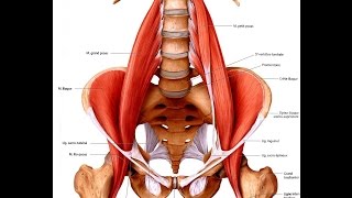 Anteprima video YouTube