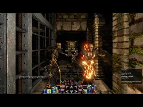 The Fall of the Dungeon Guardians New Game Part1