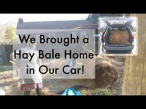 Ruth Stout Garden | Permaculture in our Subdivision