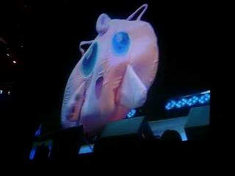 Anime Boston 08 Masquerade JigglyPuff Skit
