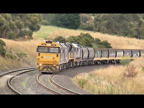 7735V Pacific National Grain Train Stops On Lovely Banks (30/12/2020) - PoathTV Australian Railways
