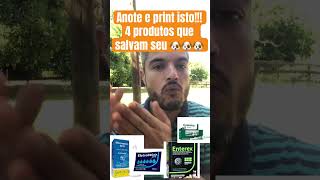 TENHA SEMPRE ESTES 4 Produtos se tiver cachorro em casa