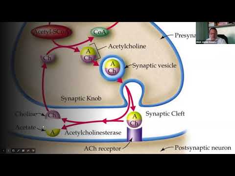 Aula Praguicidas 1 - Organofosforados e Carbamatos
