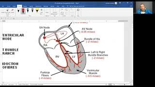 Arrhythmias 1 Kasr physiology l mechanisms and scheme