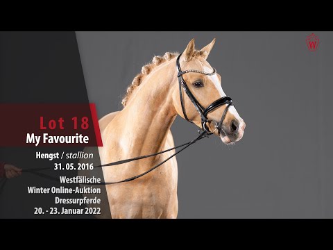 Winter Online-Auktion Lot 18 My Favourite Hengst v. FS Mr. Right - FS Cocky Dundee