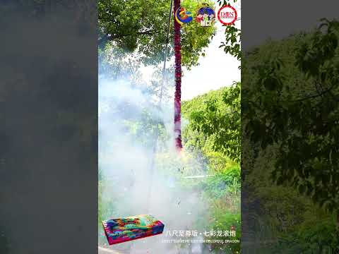 ADN-5 七彩龙滚炮