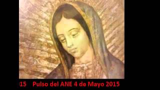 PULSO DEL ANE MAYO 2015