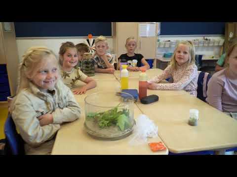 Videoclip Bosseschool, Middelharnis - Schoollied.com