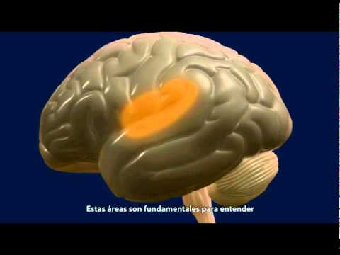 Así funciona un chiste en el cerebro