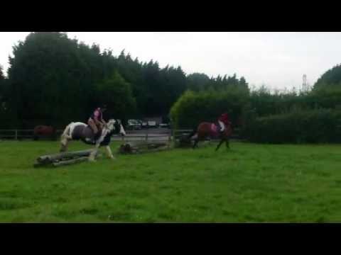 Bitless Cross Country 2012 *Melody, Blade, Valken and Cherokee*