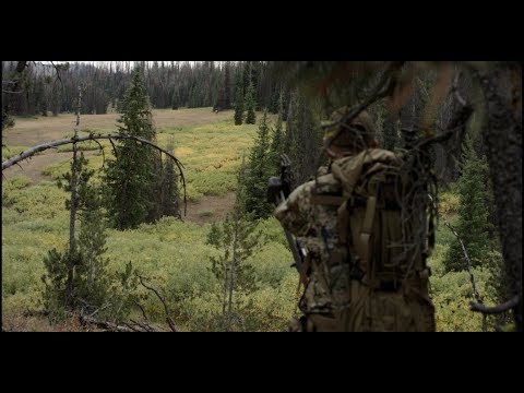 Wyoming Elk Hunt (Day 3) - The "Linguists" Rough Cuts