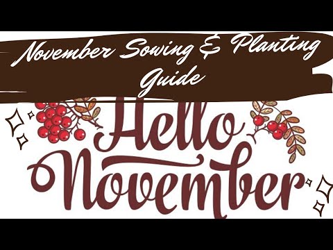 November Sowing & Planting Guide