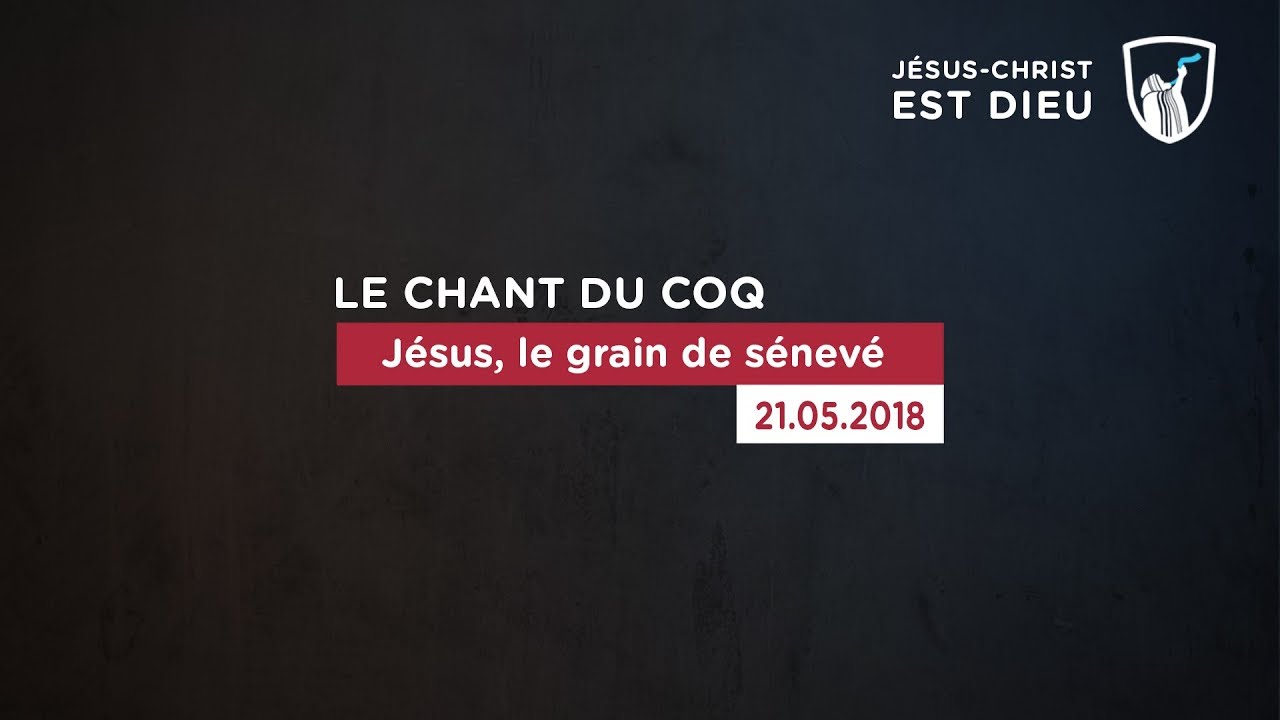 Thumbnail of video: Jésus, le grain de sénevé