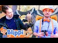 Blippi Hangs With Forest Animals At The Nature Center More Blippi Animal Videos For Kids