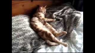 frank turner four simple words music video