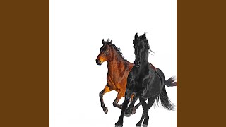 Old Town Road (Remix)