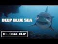 Deep Blue Sea Trilogy: Shark Attack Supercut - Thomas Jane, Michael Rappaport