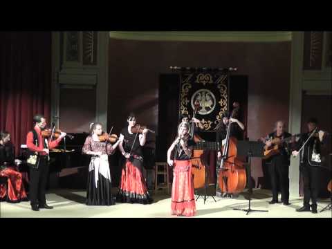Violons Tziganes - Kalitka