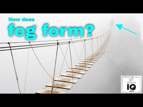 How does fog form